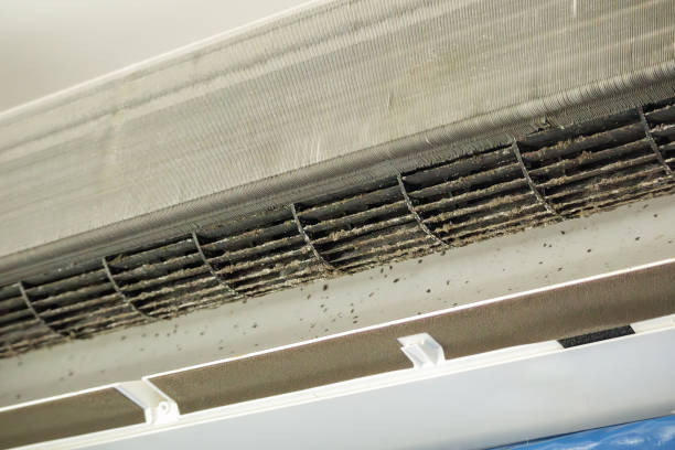 Best Air Duct Cleaning Near Me  in Han, GA